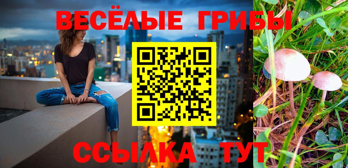 Галлюциногенные грибы MAGIC MUSHROOMS Каменск-Шахтинский