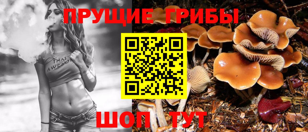 Псилоцибиновые грибы GOLDEN TEACHER  Вход с VPN  Каменск-Шахтинский 